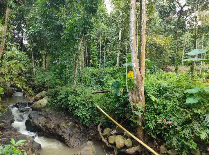 dijual tanah rando bawa kec mandirancan