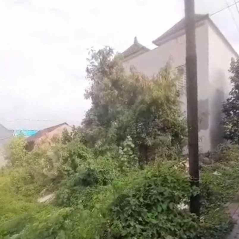 dijual tanah raya denpasar gilimanuk