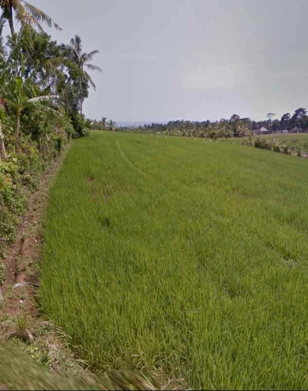 dijual tanah selemadeg timur tabanan bali