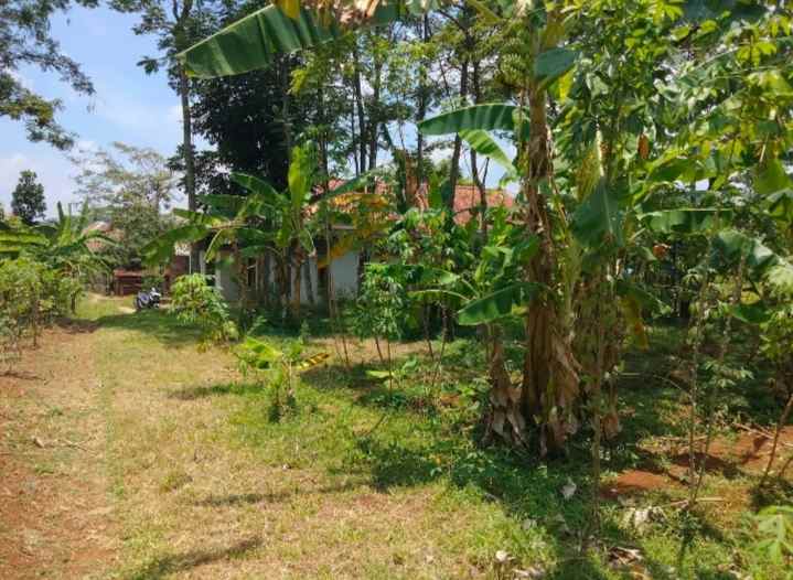 dijual tanah sindangkasih beber