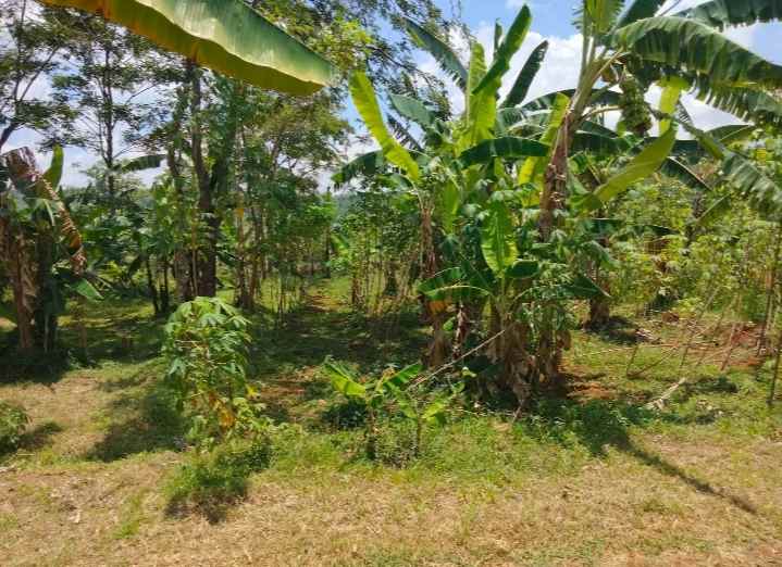 dijual tanah sindangkasih beber