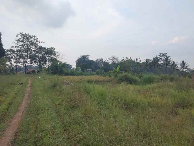 dijual tanah strategis view bagus