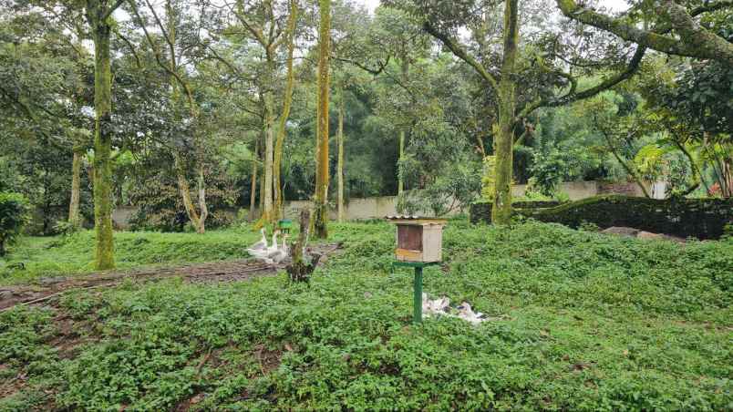 dijual tanah tamansari