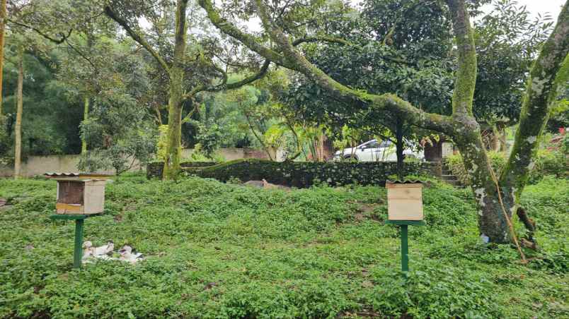 dijual tanah tamansari