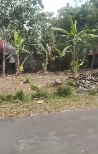 dijual tanah tanah kavling minggir