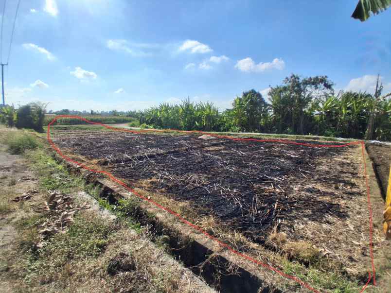 dijual tanah tibubiyu kerambitan