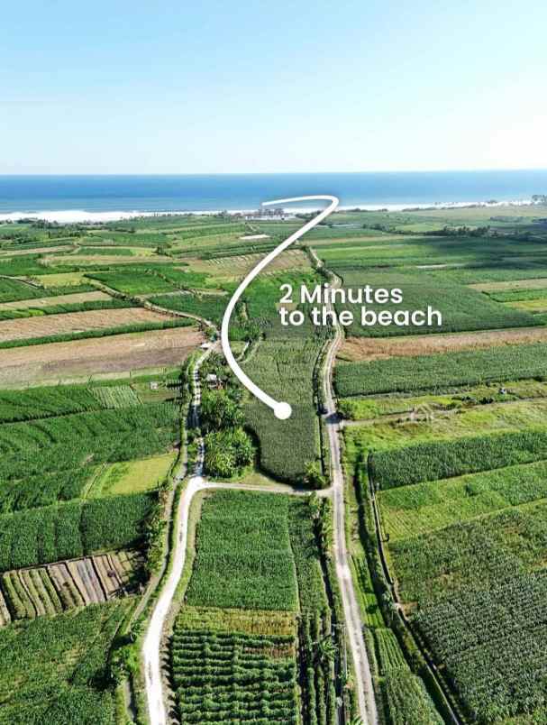 dijual tanah tibubiyu kerambitan
