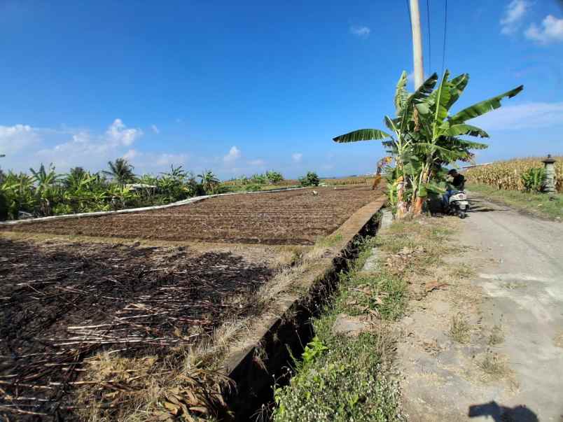 dijual tanah tibubiyu kerambitan