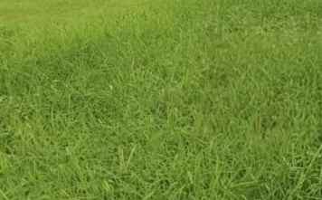 dijual tanah waterfront