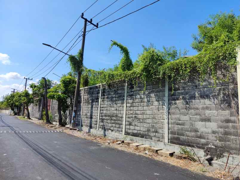 dijual tanah wiyung
