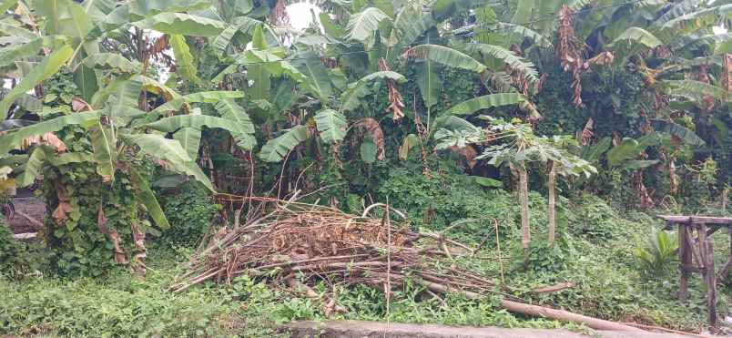 disewakan tanah jalan by pass ida bagus