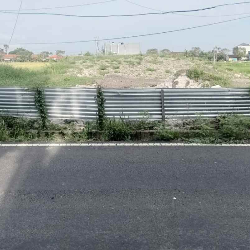 disewakan tanah tibubeneng