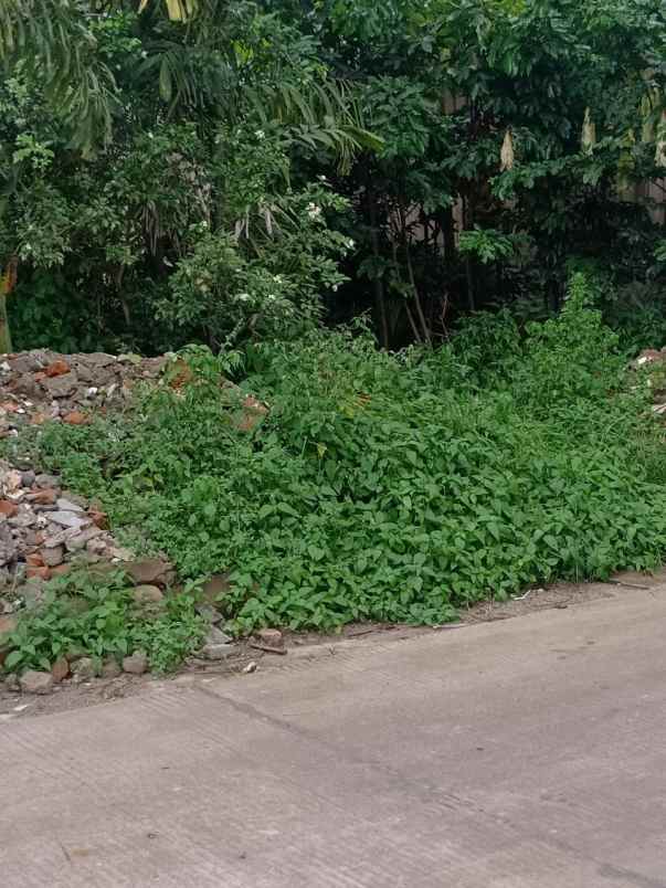 jual cepat tanah di pondok kacang barat dekat bintaro