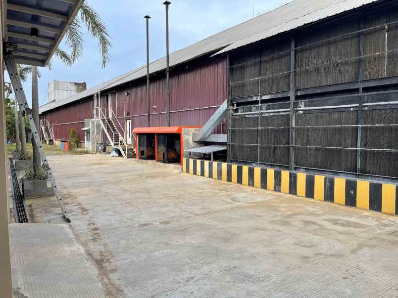 jual kandang ayam model closed house di pati