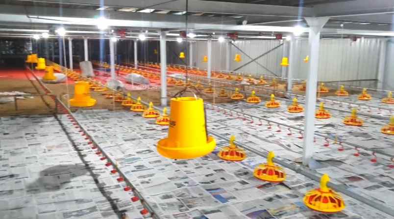 jual kandang ayam model closed house di pati