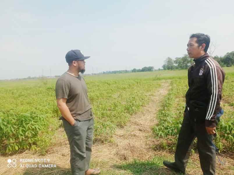 jual tanah kavling murah di sukatenang babelan bekasi