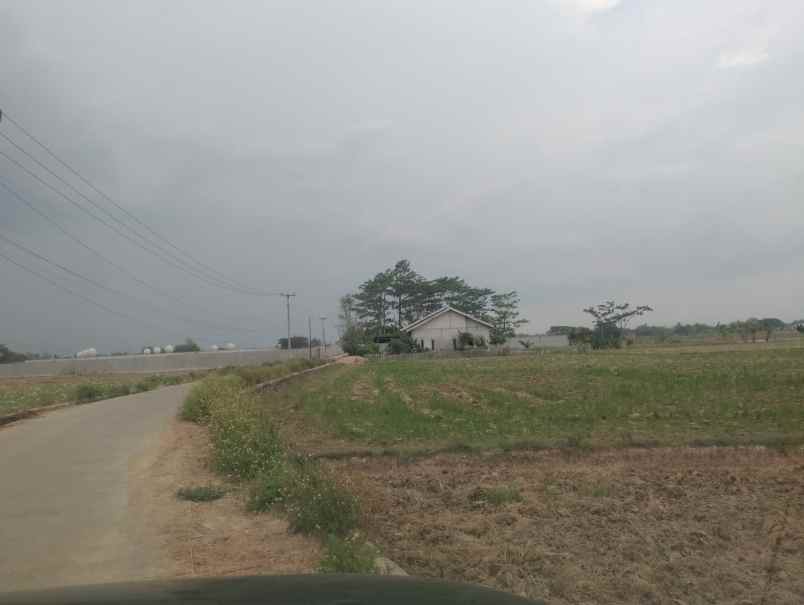 jual tanah sawah produktif