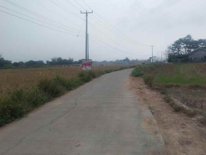jual tanah sawah produktif