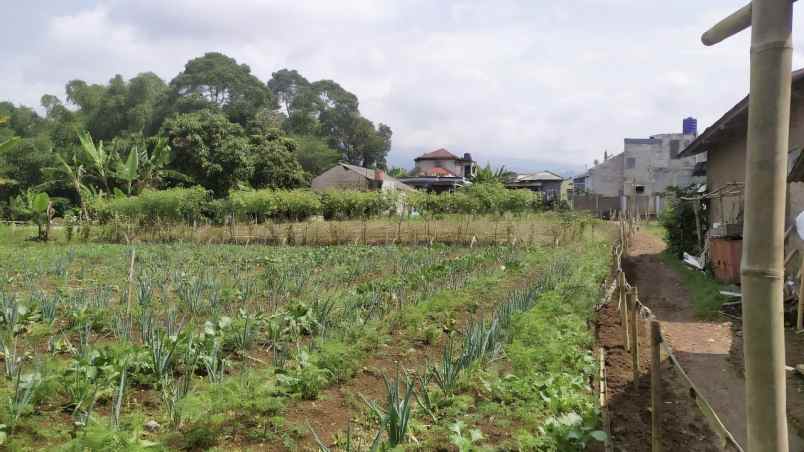 lahan kebun aktif siap bangun lokasi strategis