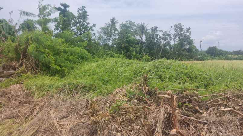 leasehold cemagi badung bali