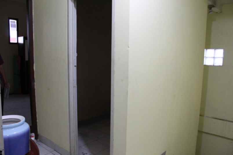 rumah kelapa hybrida kelapa gading