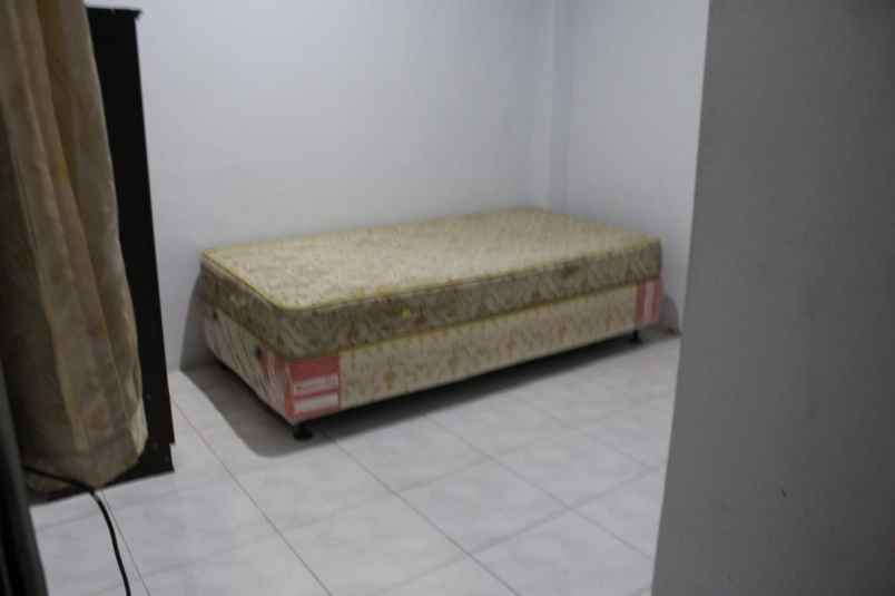 rumah kelapa hybrida kelapa gading