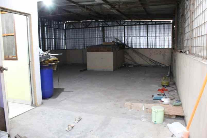 rumah kelapa hybrida kelapa gading