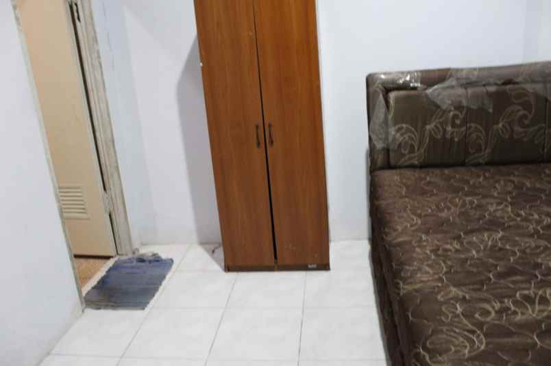 rumah kelapa hybrida kelapa gading