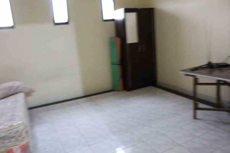 rumah kelapa hybrida kelapa gading