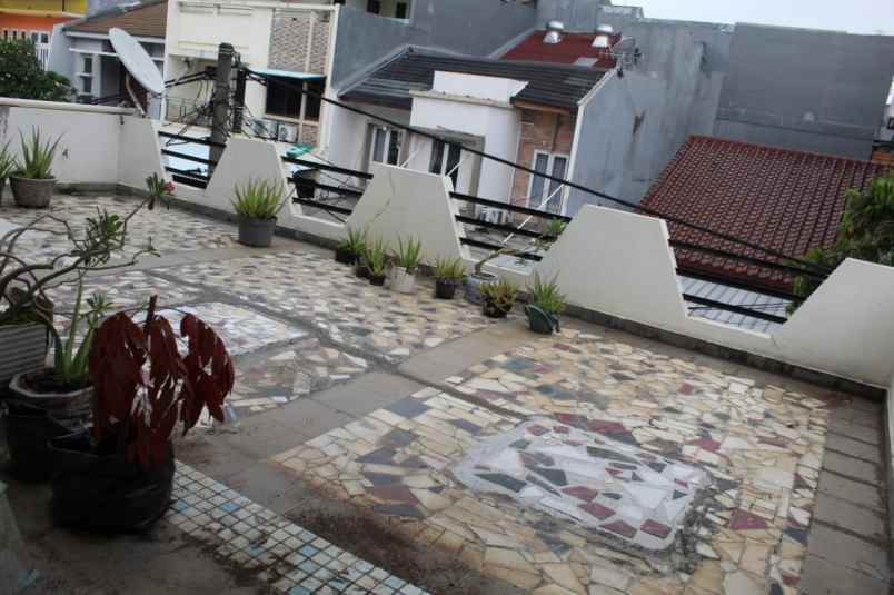 rumah kelapa hybrida kelapa gading