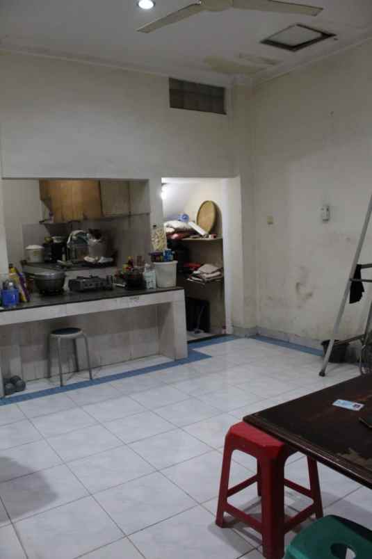 rumah kelapa hybrida kelapa gading