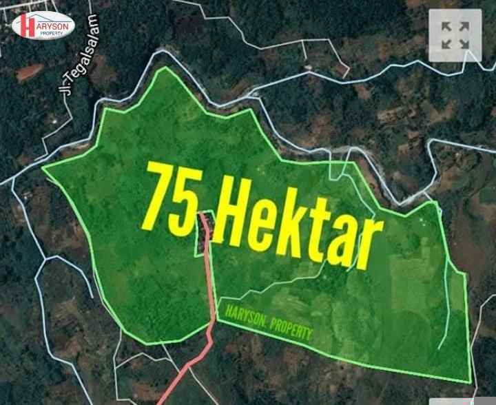 tanah 75 hektar jonggol kab bogor