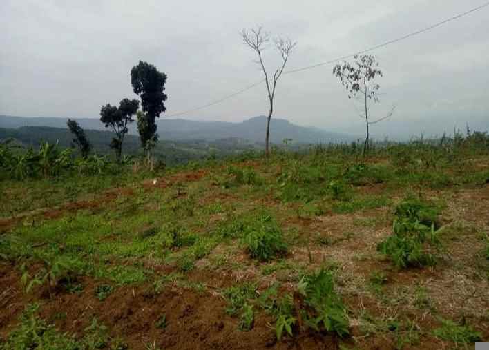 tanah 75 hektar jonggol kab bogor