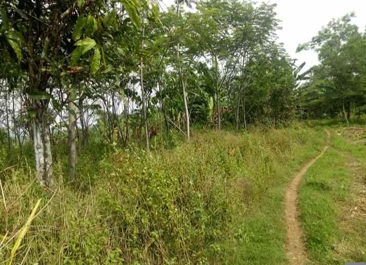 tanah 75 hektar jonggol kab bogor