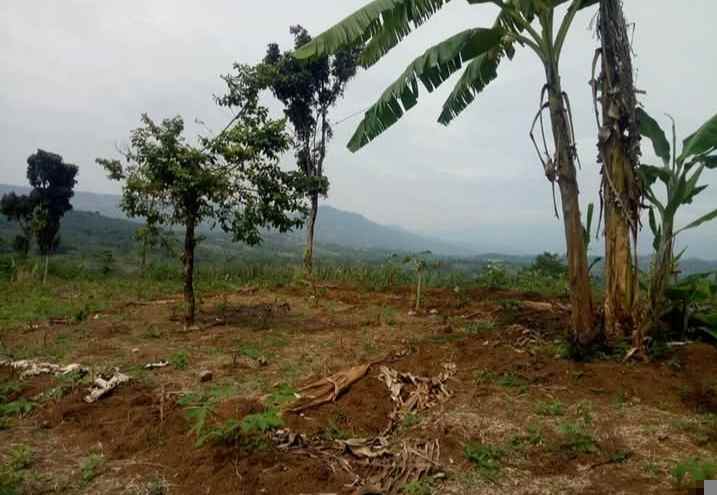 tanah 75 hektar jonggol kab bogor