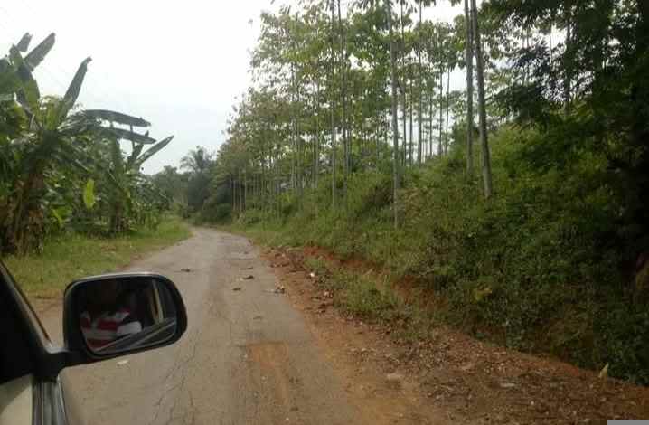 tanah 75 hektar jonggol kab bogor