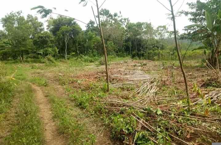 tanah 75 hektar jonggol kab bogor