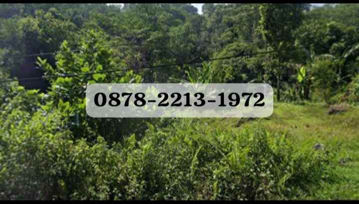 tanah bagus untuk perumahan cluster di leuwiliang