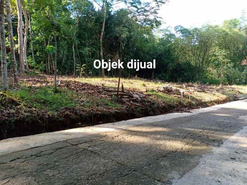 tanah barat pasar plangsalam