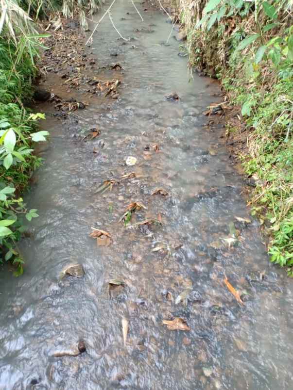 tanah barat pasar plangsalam