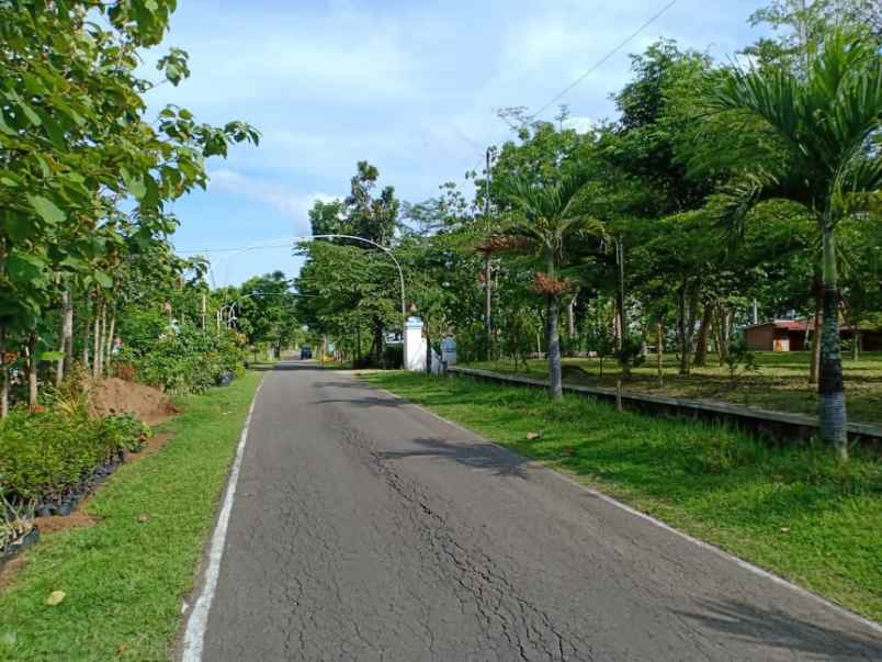 tanah barat pasar plangsalam