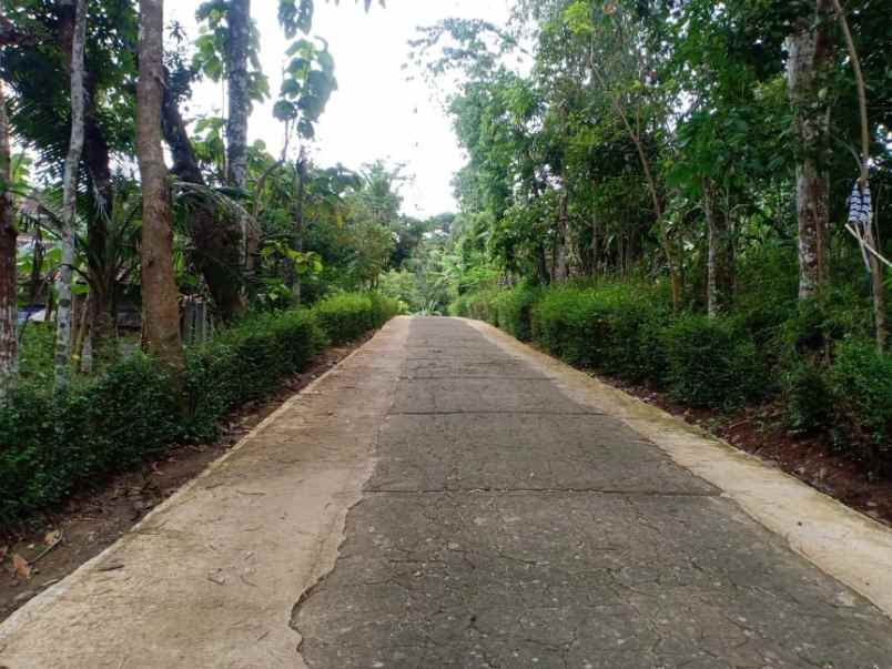 tanah barat pasar plangsalam