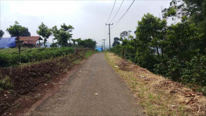 tanah cilengkrang atas