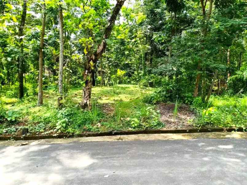 tanah datar 2600m2 siap dibangun kerjo karanganyar