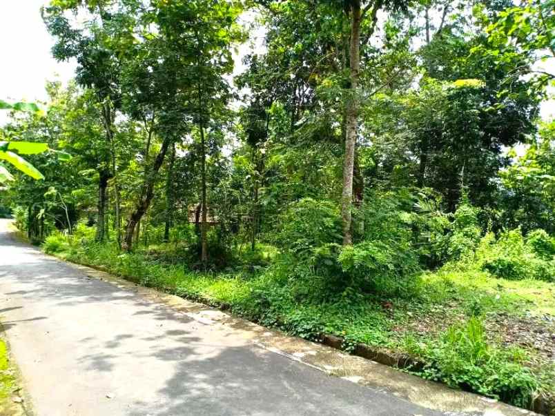 tanah datar 2600m2 siap dibangun kerjo karanganyar