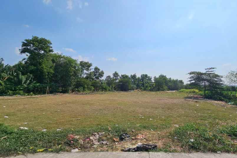 tanah desa karangmulya telukjambe barat karawang barat