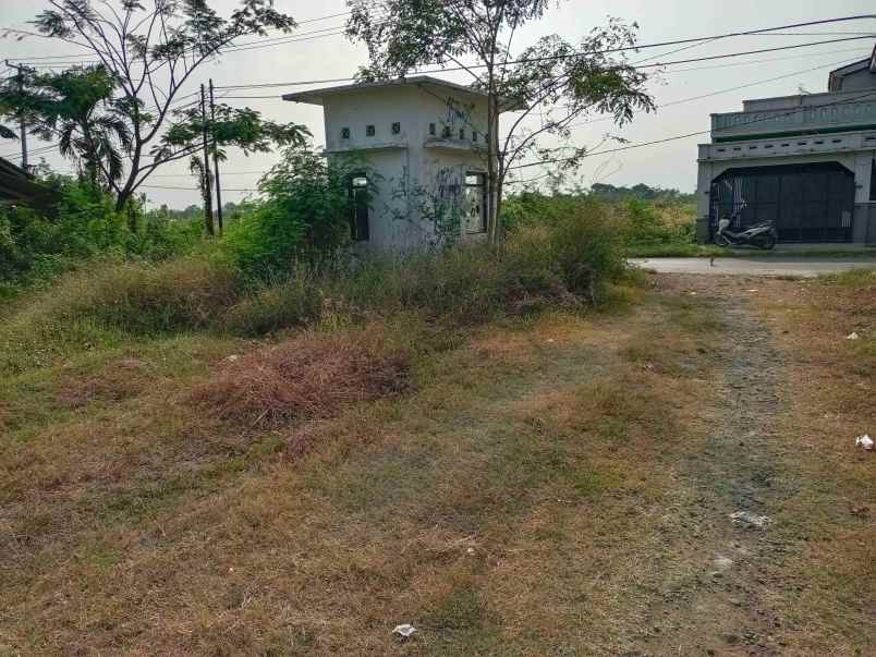 tanah di desa losari lor dusun