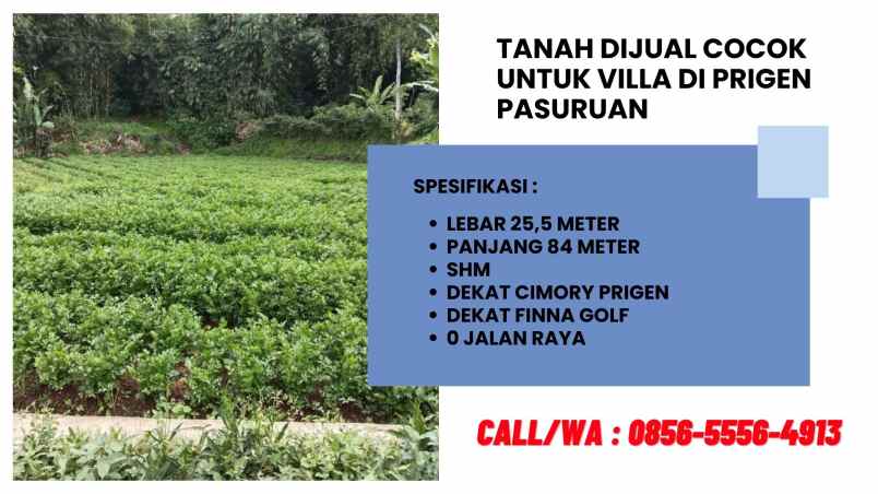 tanah dijual di prigen pasuruan cocok untuk villa
