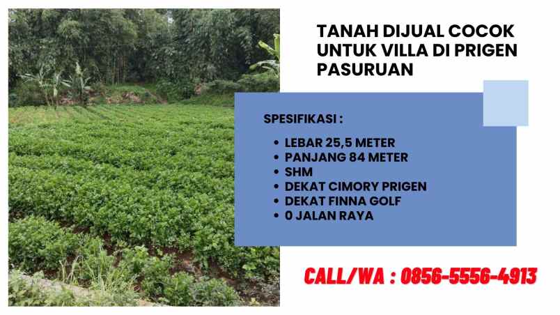 tanah dijual di prigen pasuruan cocok untuk villa