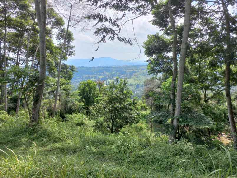 tanah gunung geulis sukaraja